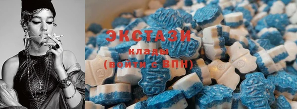 МДПВ Богородицк